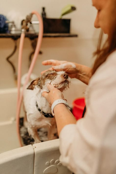 Home Grooming